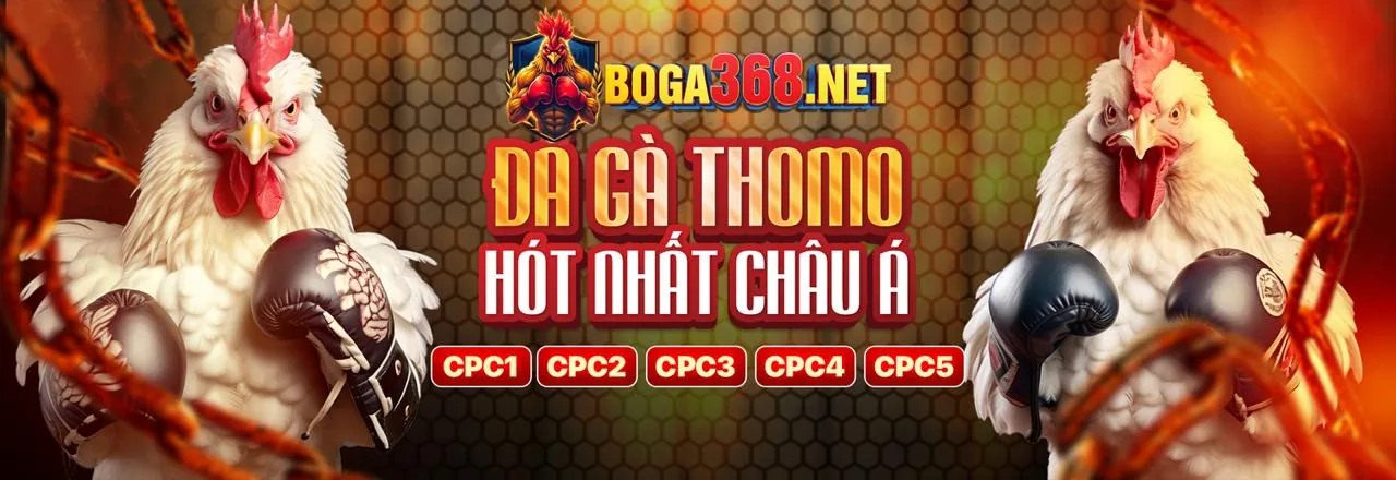 Đá gà trực tuyến win678 tại app